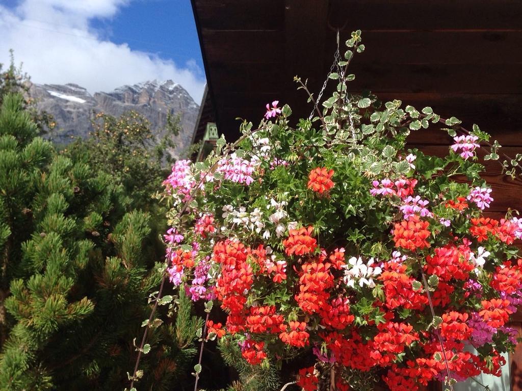 Hotel Villa Nevada Cortina d'Ampezzo Exterior foto